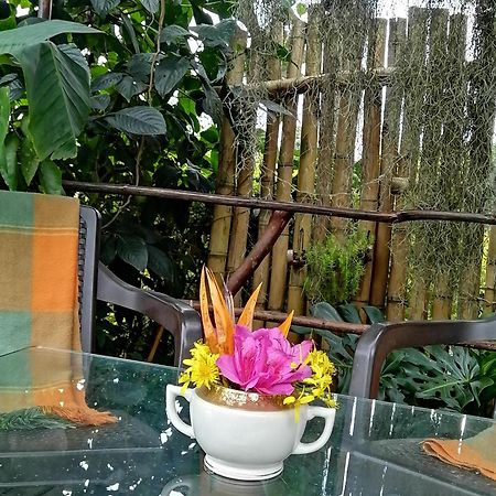 Hostal casa la juana Bed and Breakfast Medellín Exterior foto