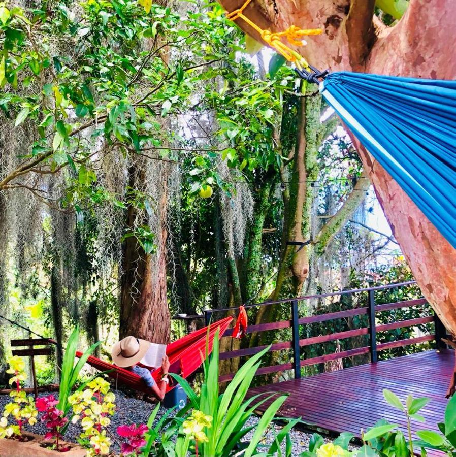Hostal casa la juana Bed and Breakfast Medellín Exterior foto