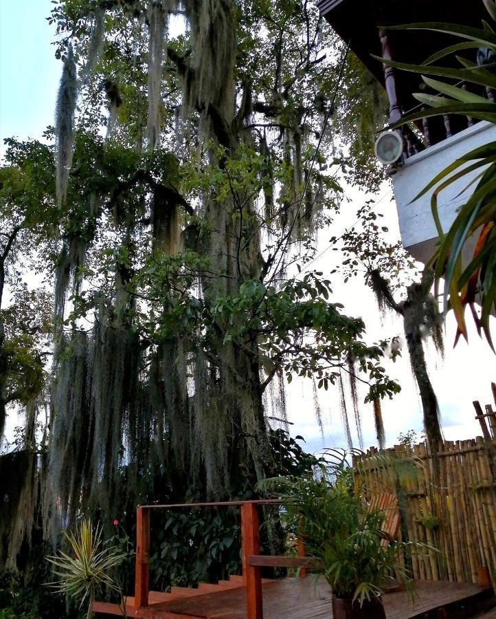 Hostal casa la juana Bed and Breakfast Medellín Exterior foto